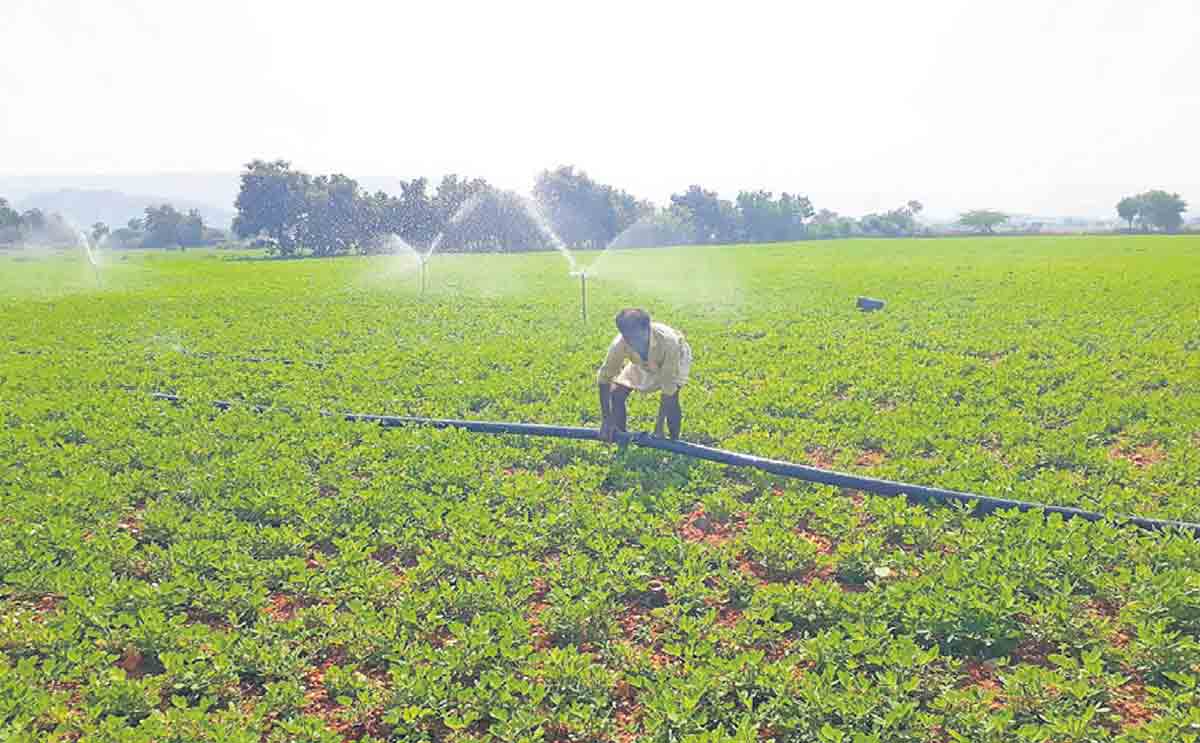 సారు మాట.. ఊరంతా పల్లి బాట