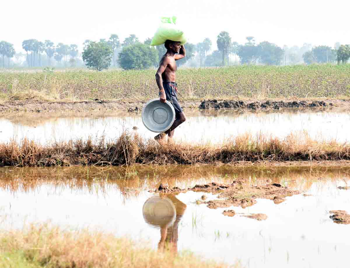 పండుగలా రైతుబంధు వారోత్సవాలు