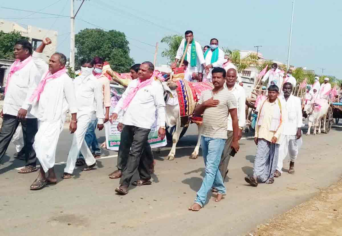 రైతుబంధు సంబురం