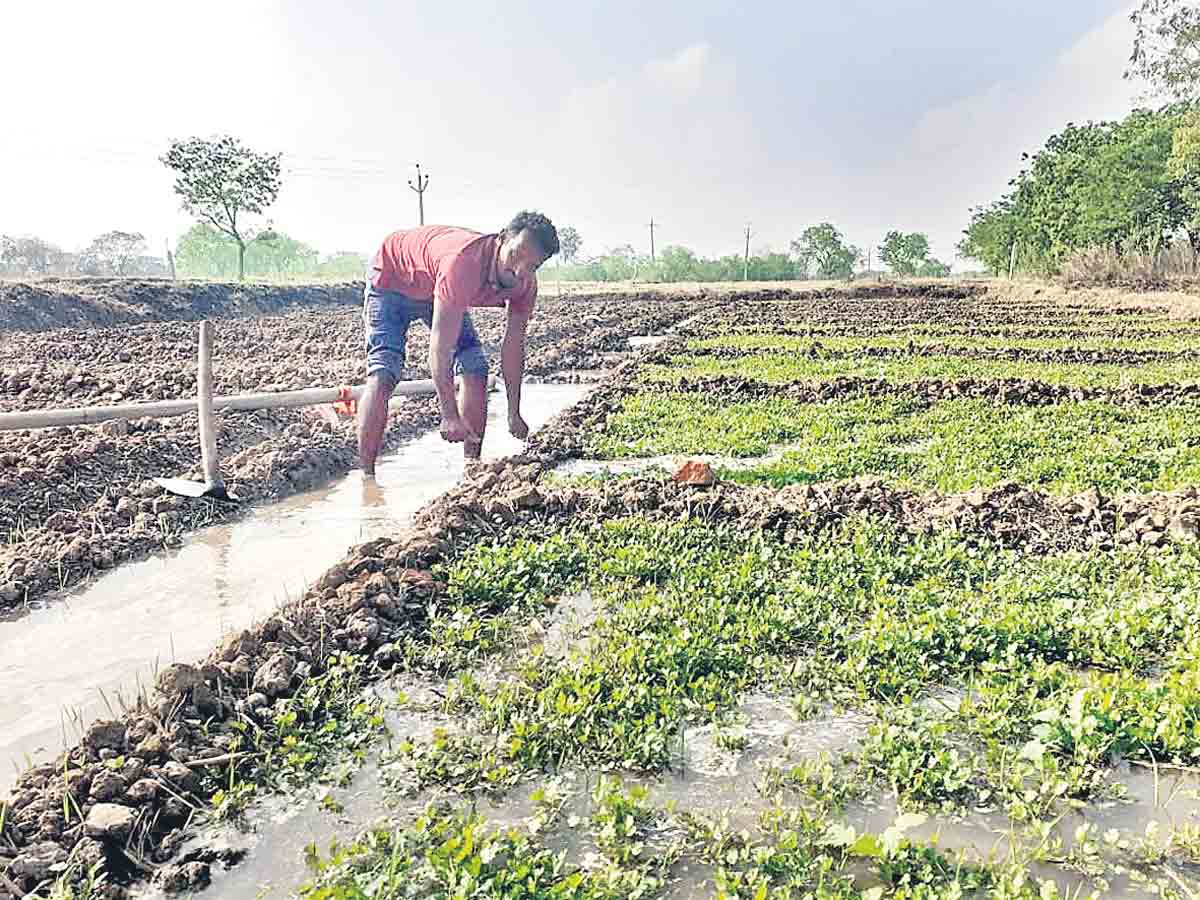 నిజామాబాద్‌ జిల్లాలో రైతుబంధు మొత్తం విలువ రూ.1992 కోట్లు