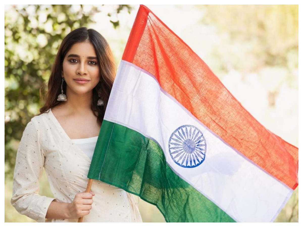 Nabha Natesh | జాతీయ జెండాతో మరింత అందంగా నబా నటేశ్‌..