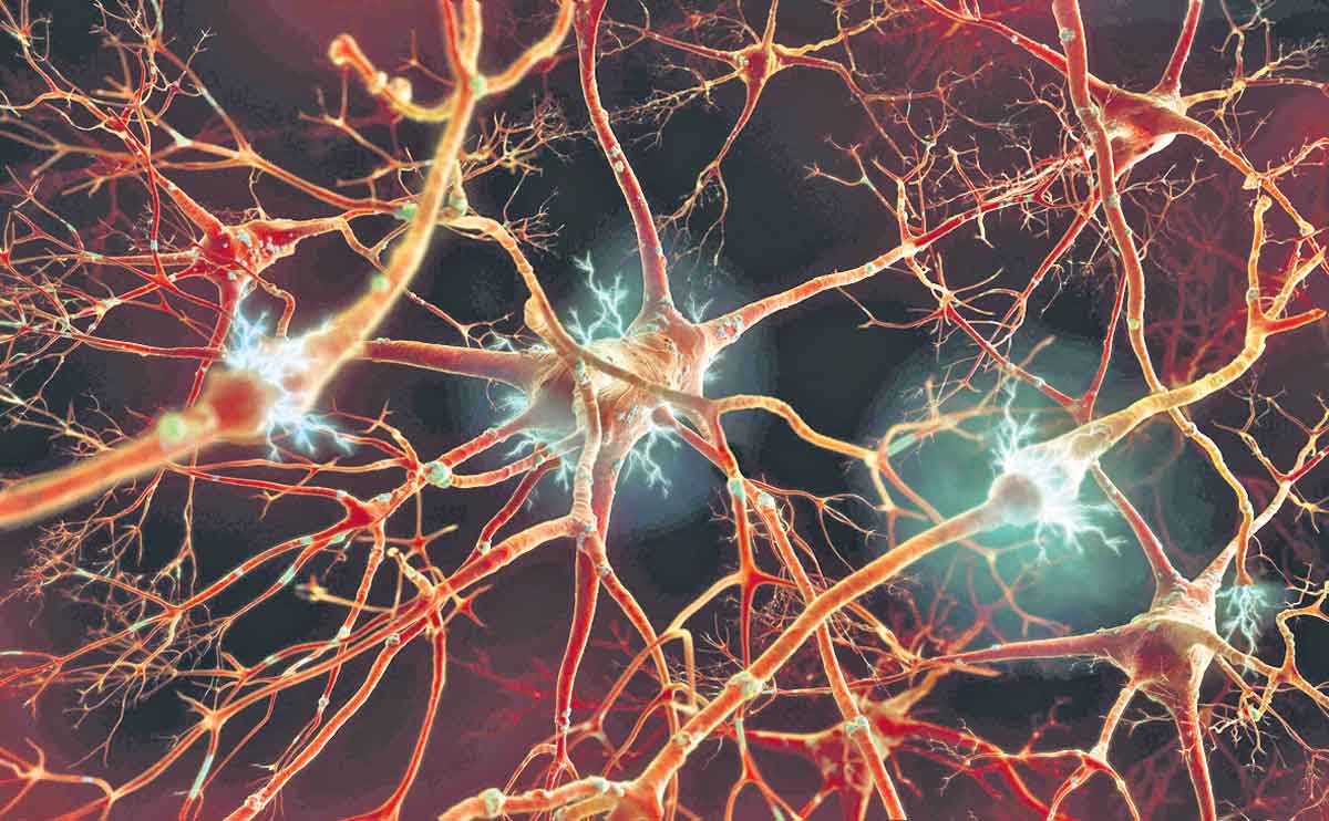 ఆవరణ సంబంధమైన హానికర మొక్క?