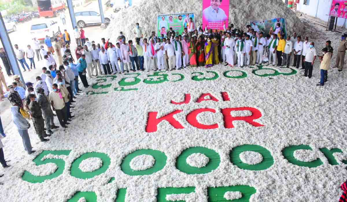 రైతులు పత్తిసాగుకు మొగ్గుచూపాలి: మంత్రి నిరంజన్‌ రెడ్డి