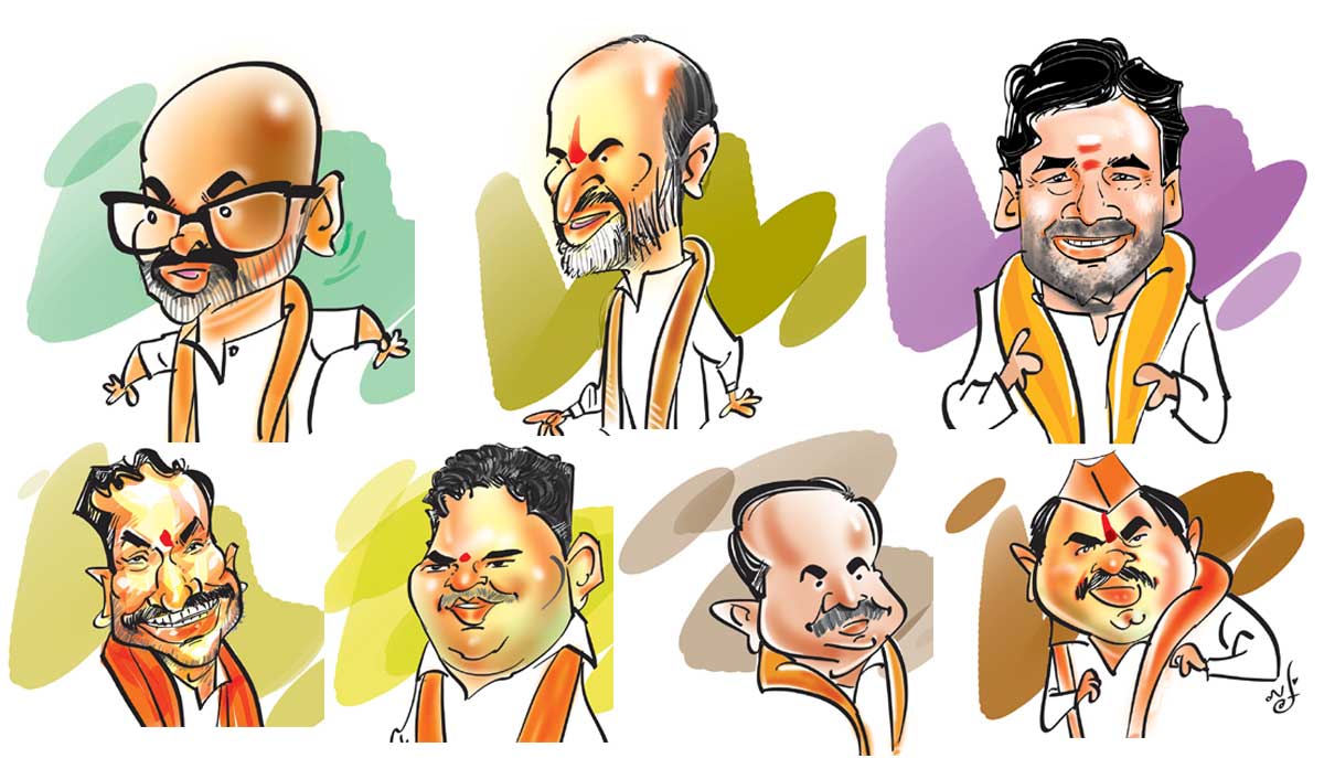 బీజేపీ ఎంపీలు తెచ్చిందేంటి?