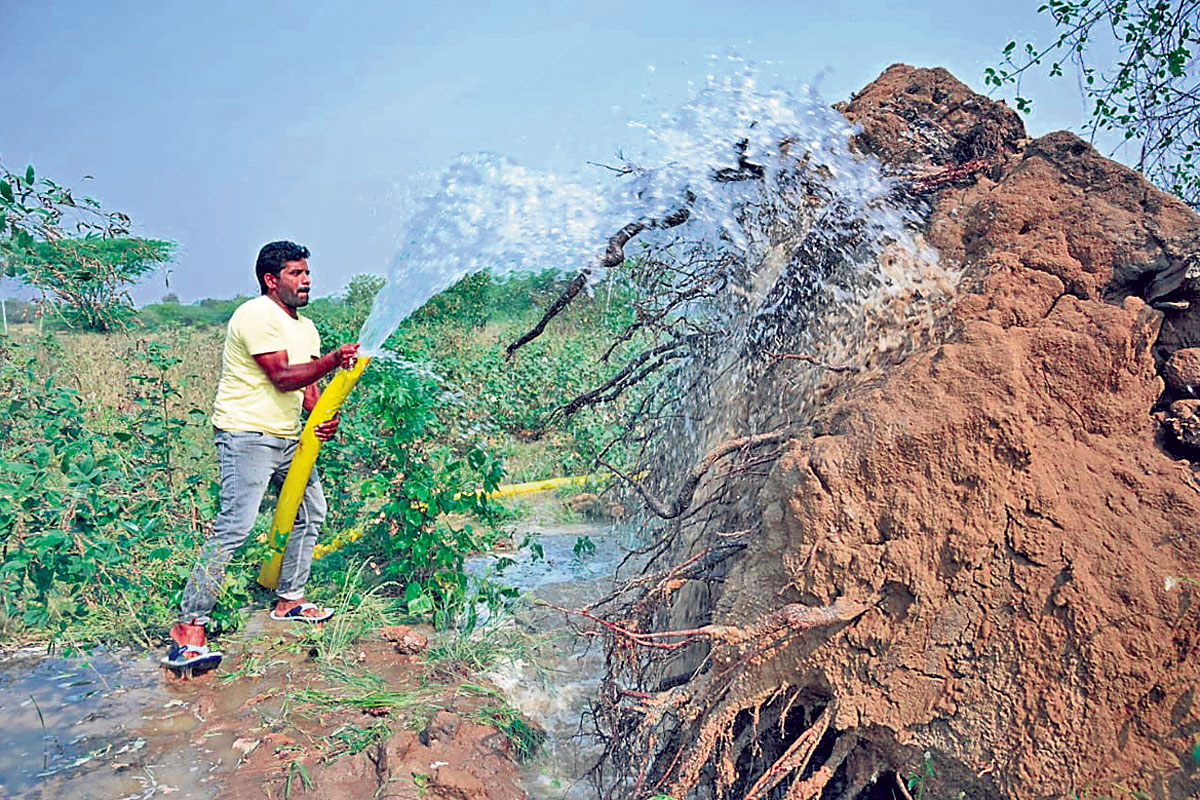ప‌చ్చ‌ద‌నానికి ప్రాణం పోస్తున్న సిరిసిల్ల వాసి