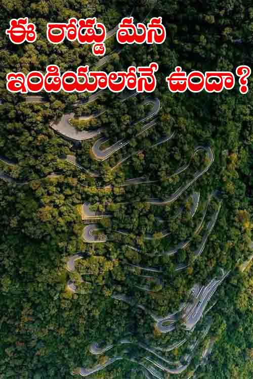 Anand Mahindra | ఇండియాలో ఇంత అద్భుత‌మైన రోడ్ ఉందా?.. ఆనంద్ మ‌హీంద్రా షేర్ చేసిన‌ ఫోటో వైర‌ల్‌