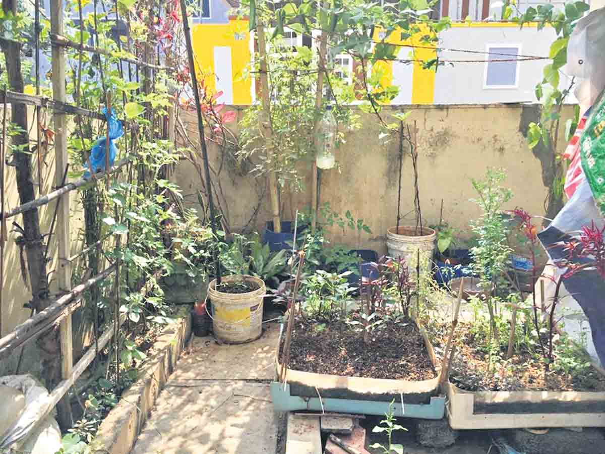 పనికిరాని వాటిని పచ్చందాలతో తీర్చిదిద్దుతున్న మహిళ