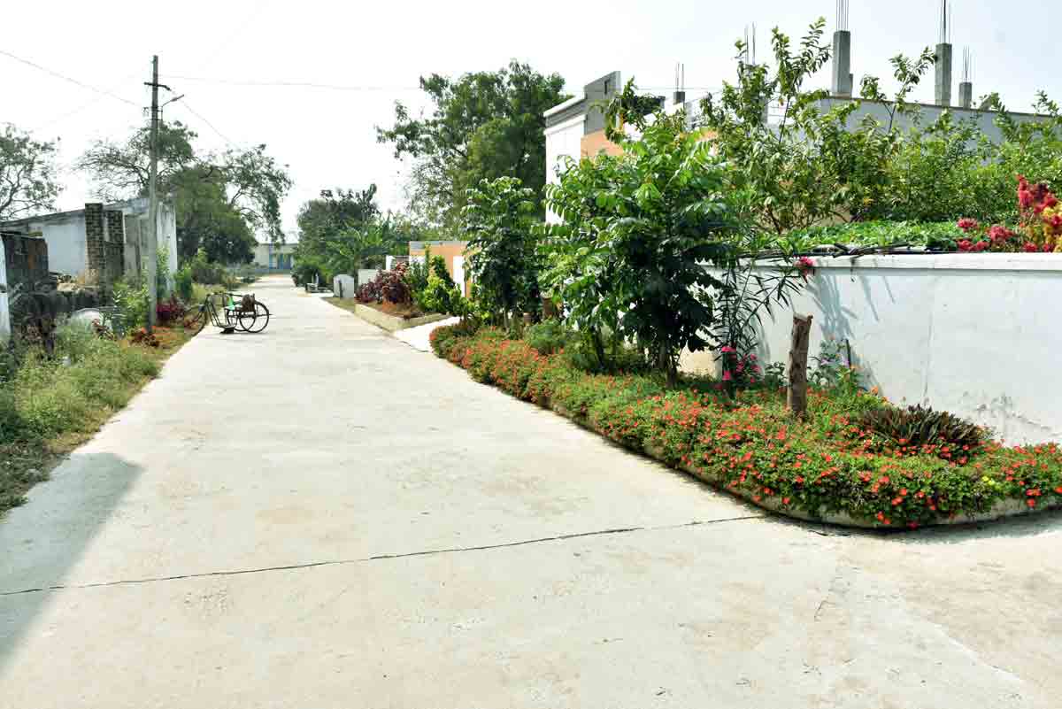 రోగాలు మాయం