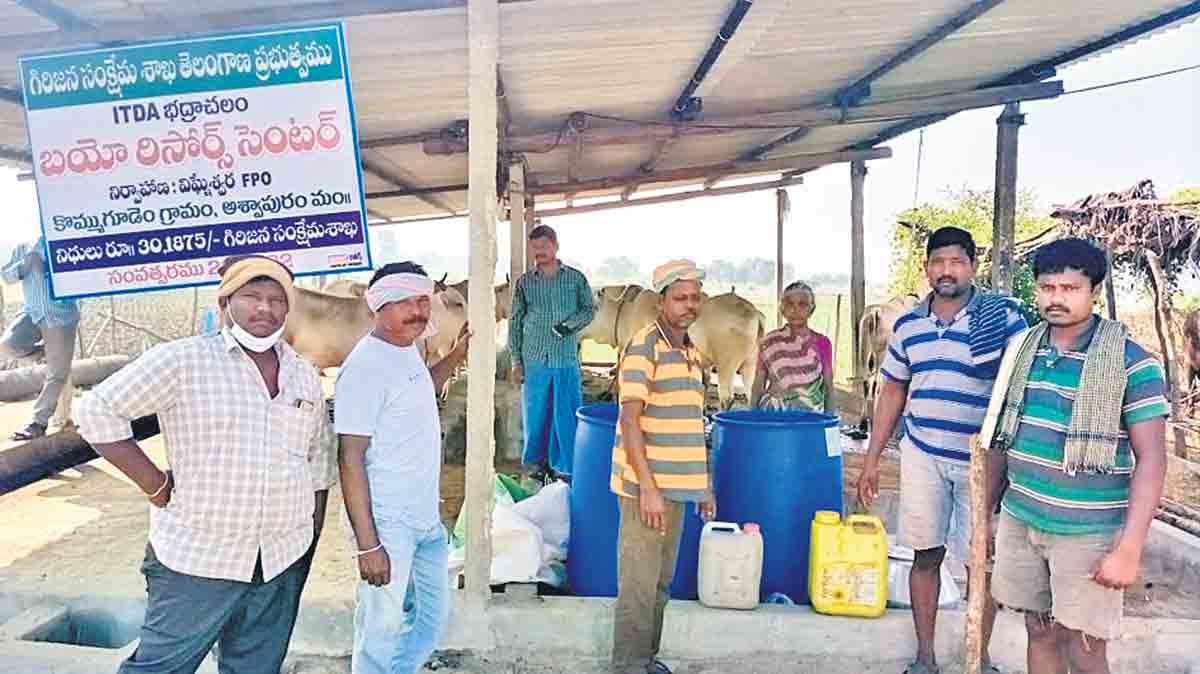 సేంద్రియ సాగులో అడవిబిడ్డలు
