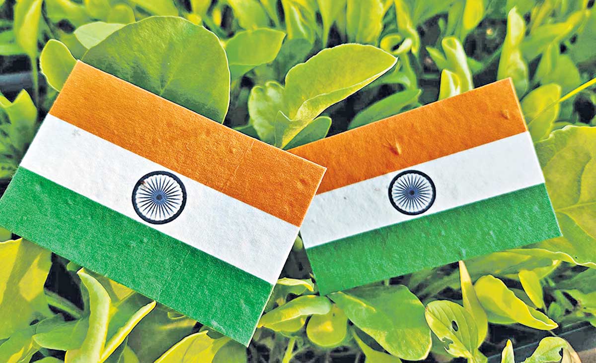 మొలకెత్తే జెండా