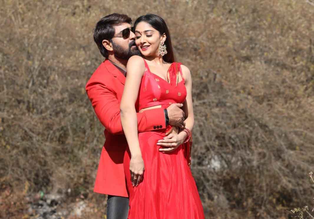 కుటుంబ కథా చిత్రంగా..