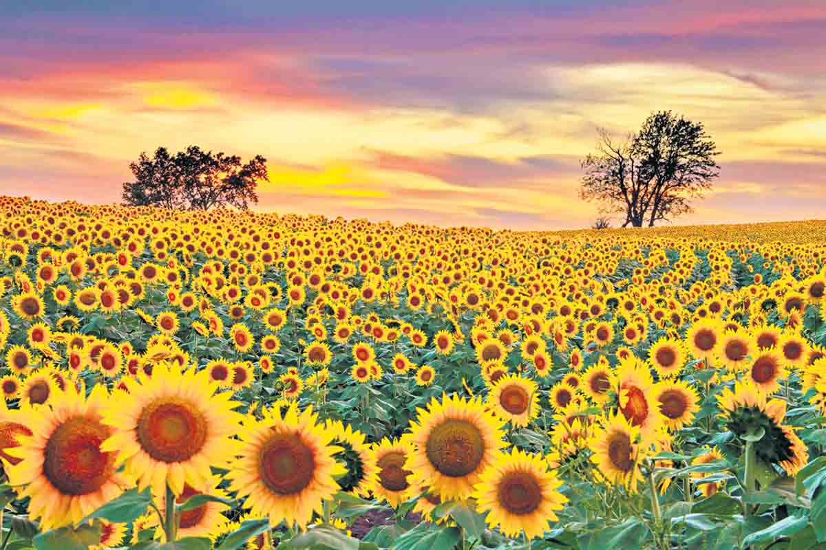 రైతన్న దశ తిరగాల్సిందే!