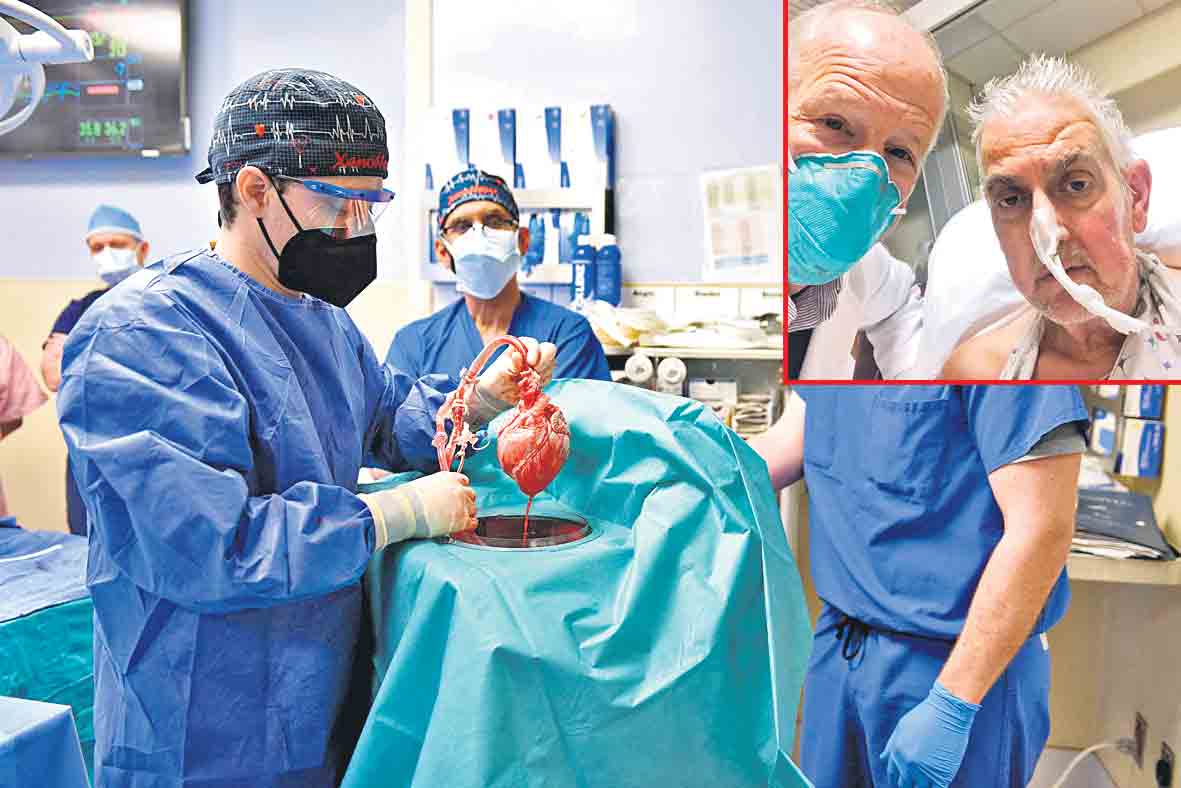 మనిషికి పంది గుండె