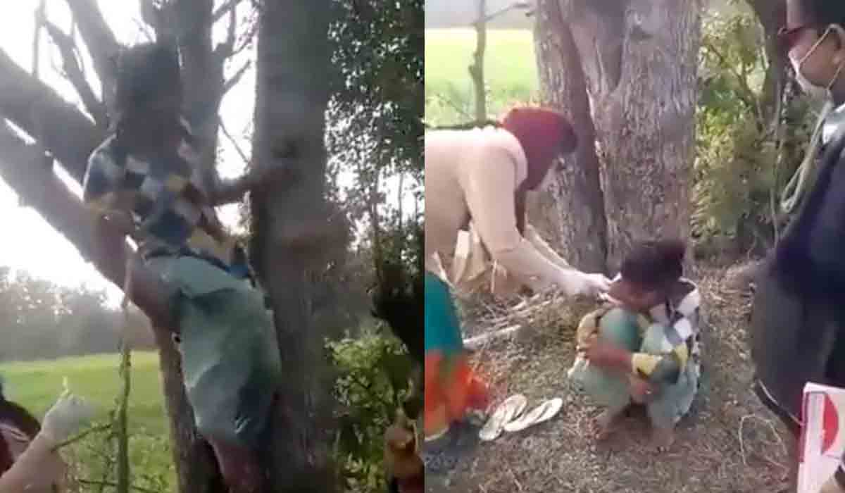 Vaccine | వ్యాక్సిన్ వద్దంటూ చెట్టేక్కేసిన బాలిక.. వీడియో నెట్టింట వైరల్