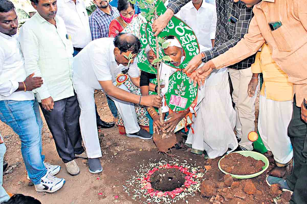 కొత్త సంవత్సరంలో ప్రతిఒక్కరు మొక్క నాటాలి