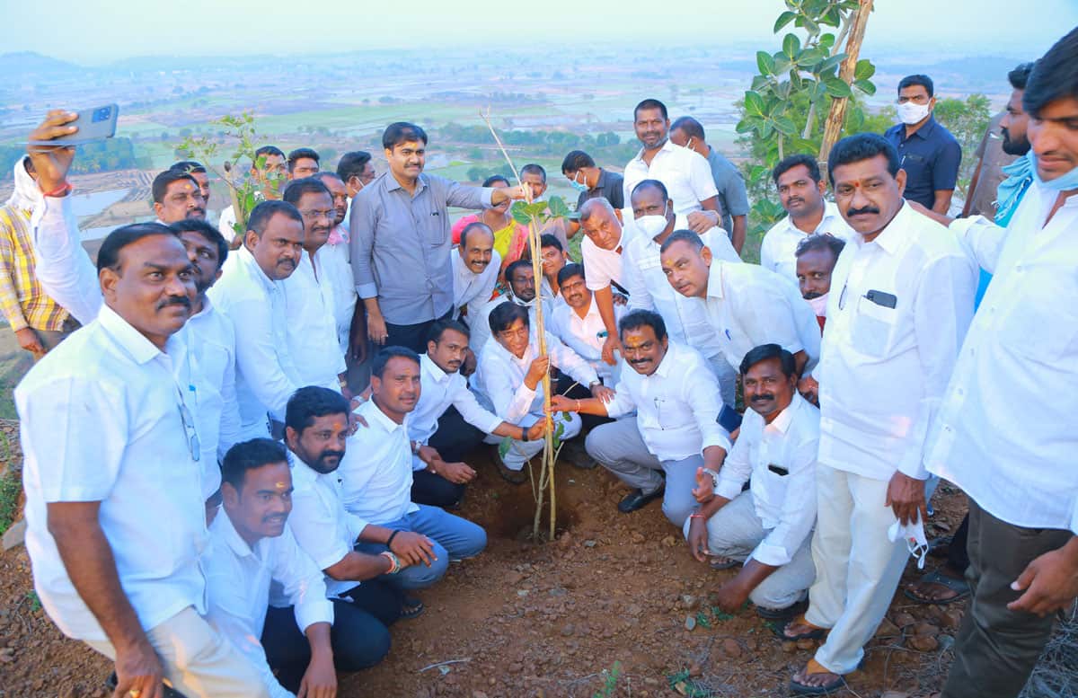 అభయారణ్యంగా కేసీఆర్‌ వనం