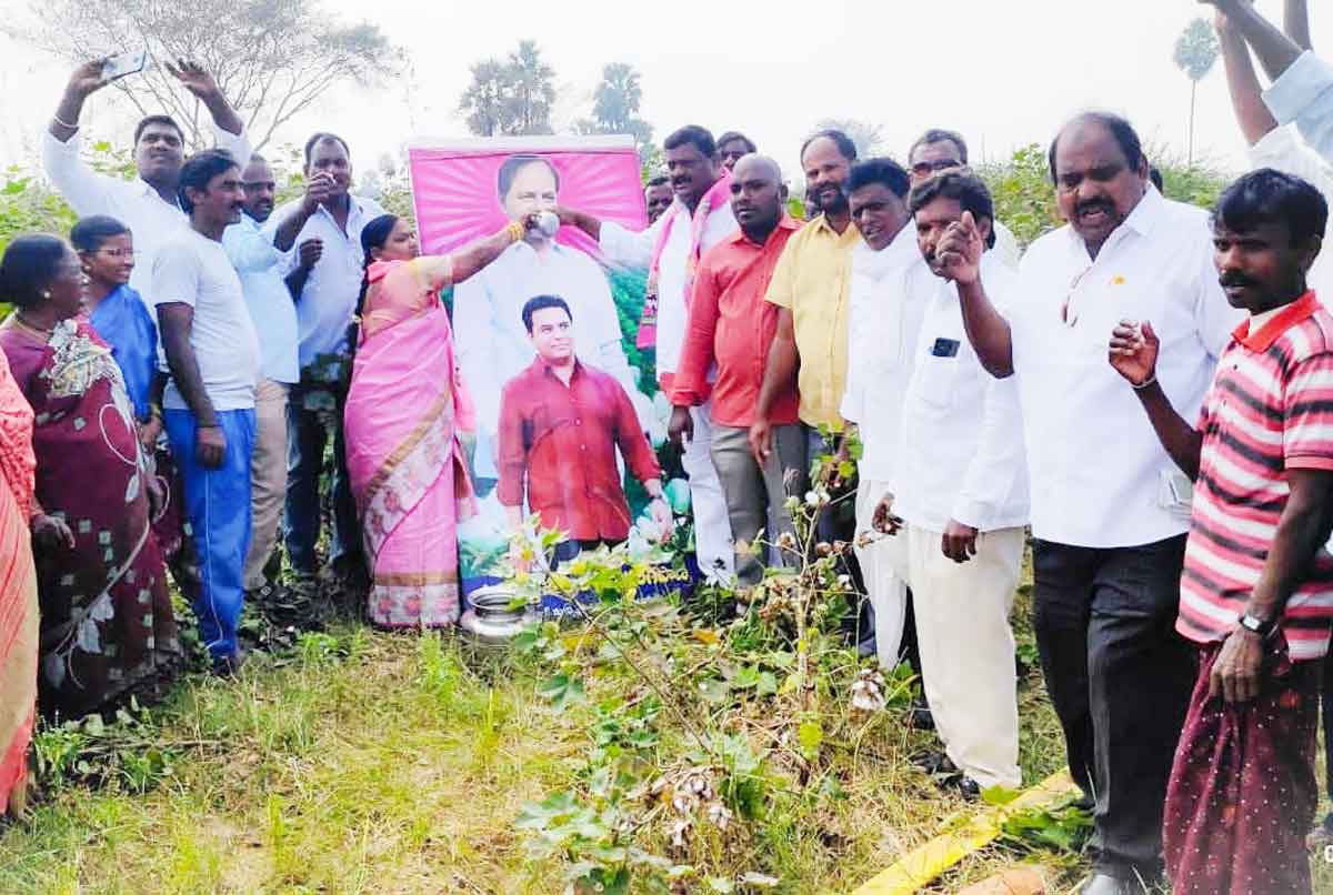 ఆనంద హేల..