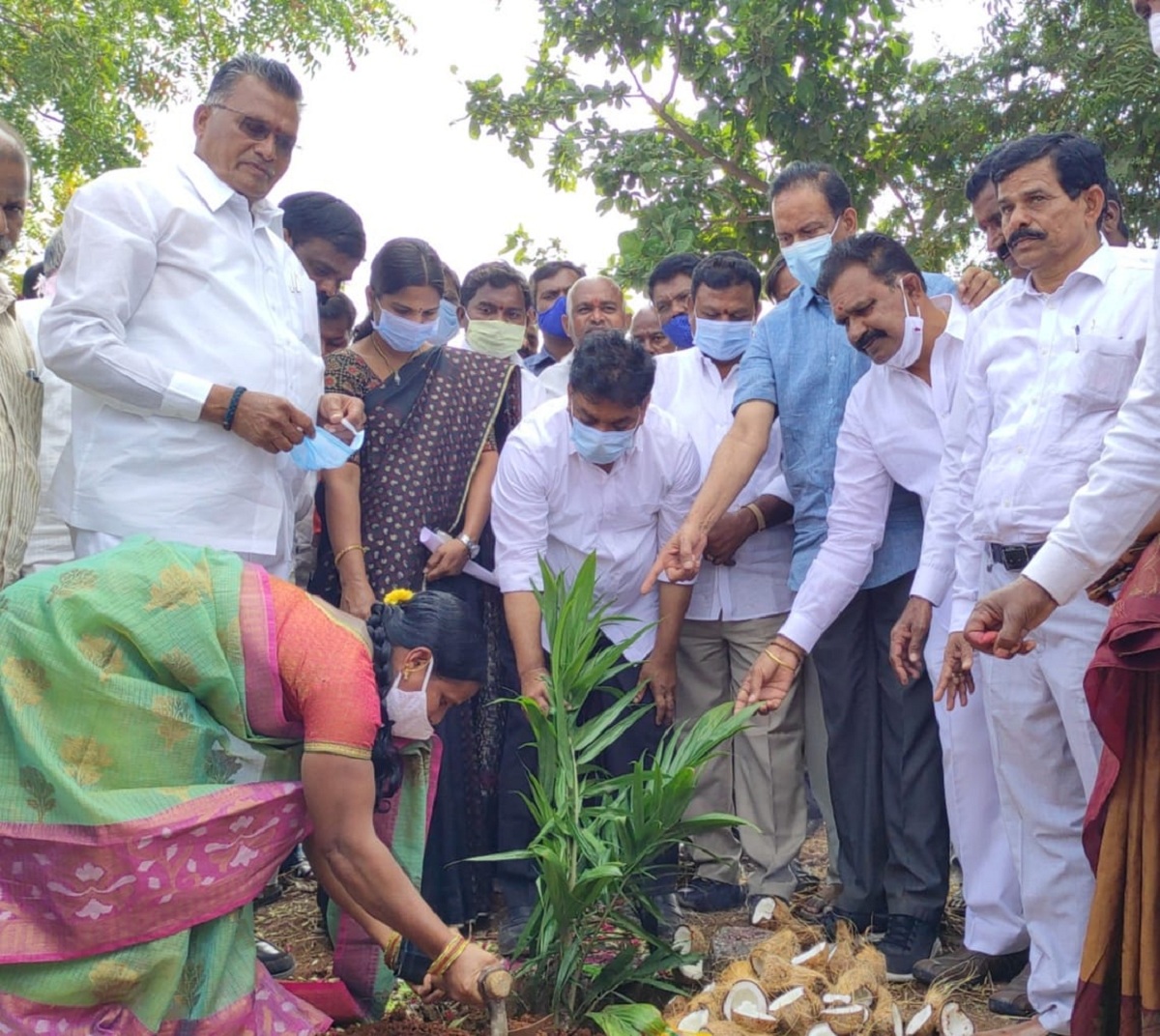 ఆయిల్‌ పామ్‌ సాగుపై ఆసక్తి