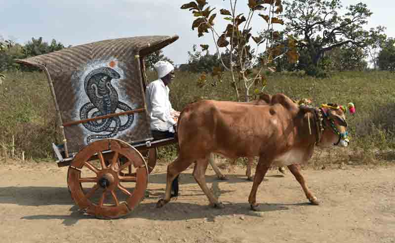 సంస్కృతీ సంప్రదాయాలు వదలని మెస్రం వంశీయులు