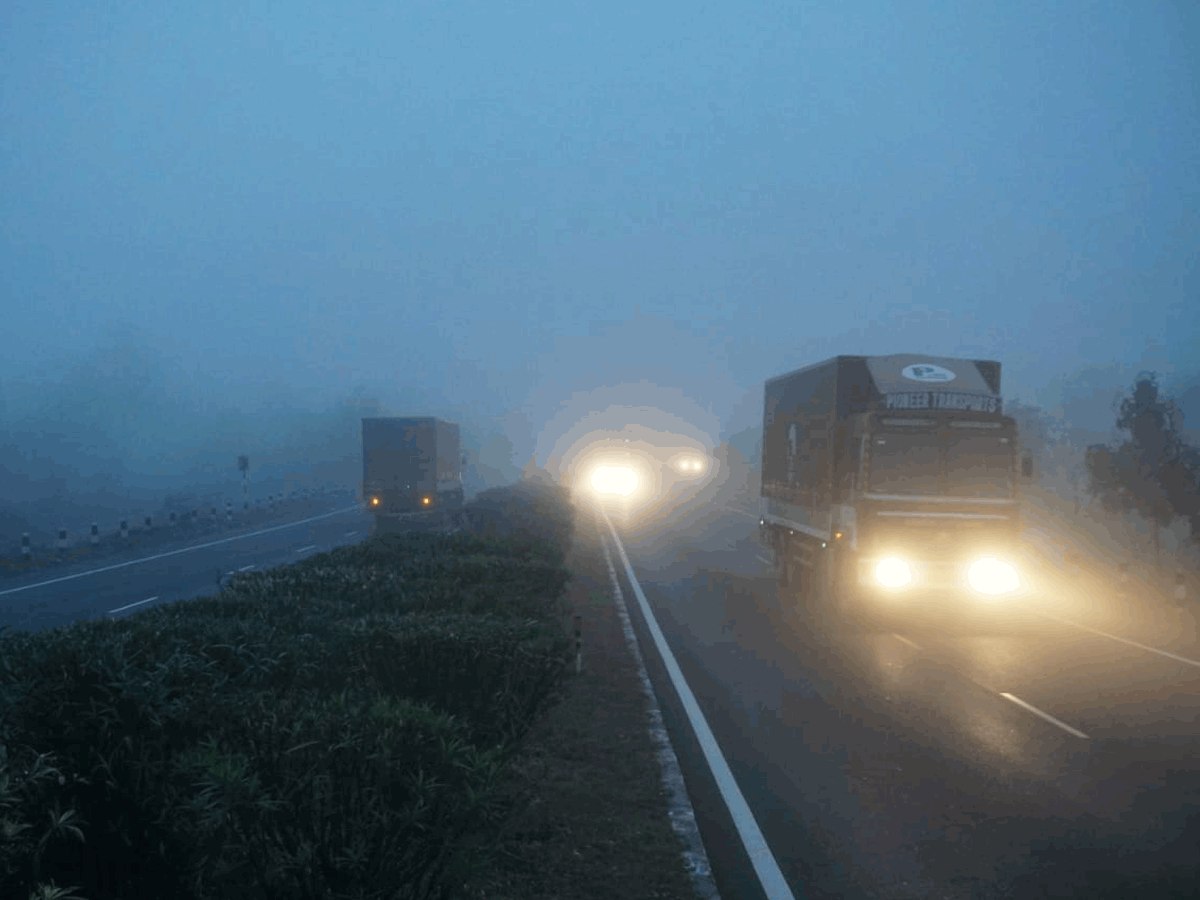 Snow fall | అడవుల జిల్లాను కమ్మేసిన మంచు దుప్పటి