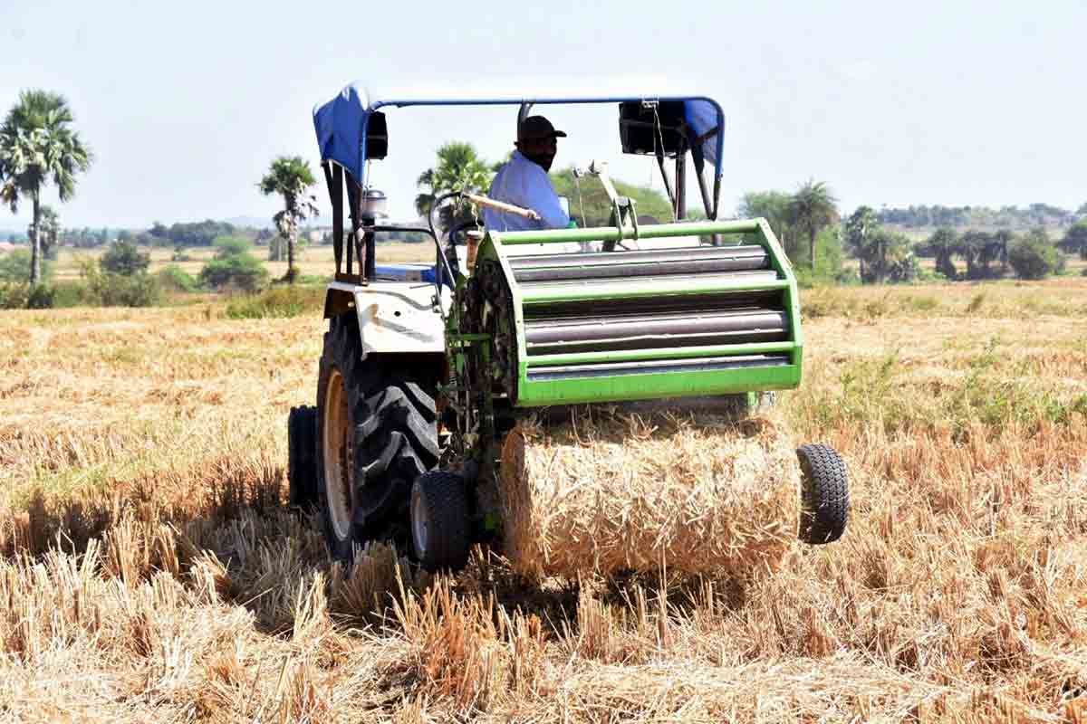 అన్నదాతకు అండ‌గా వ‌రంగ‌ల్ జిల్లా మ‌హిళ‌లు.. ఏం చేస్తున్నారంటే..