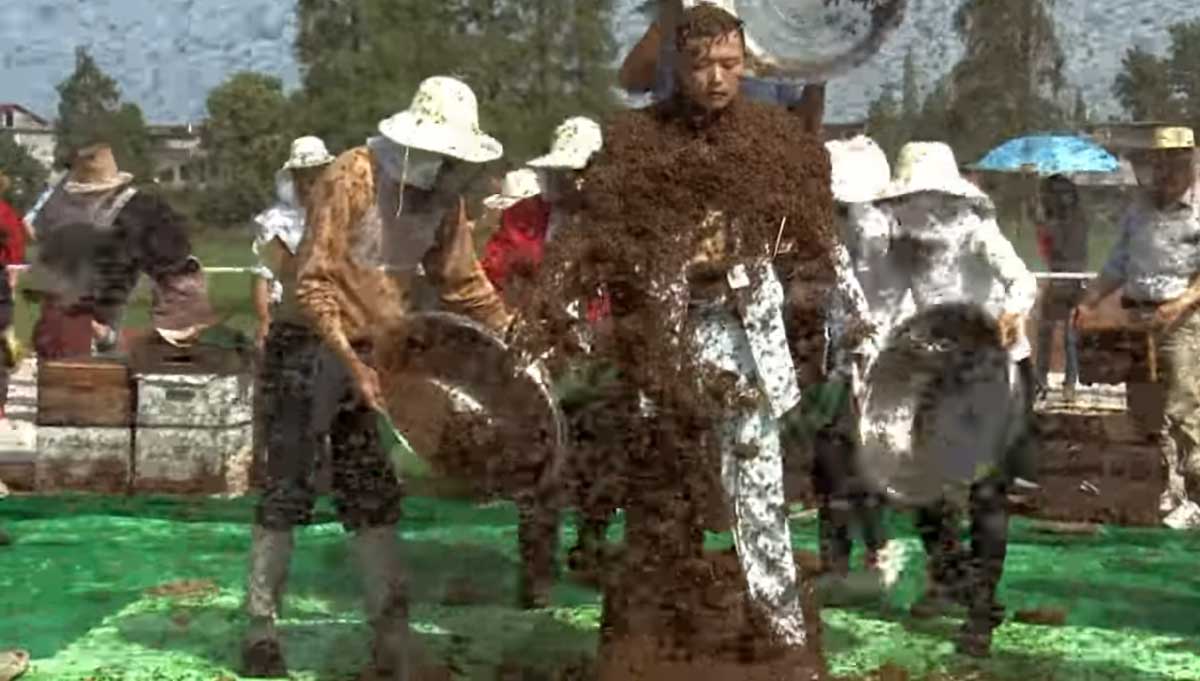 6 లక్షల తేనెటీగలు శరీరాన్ని చుట్టుముట్టినా బతికి బట్టకట్టాడు: వైరల్ వీడియో