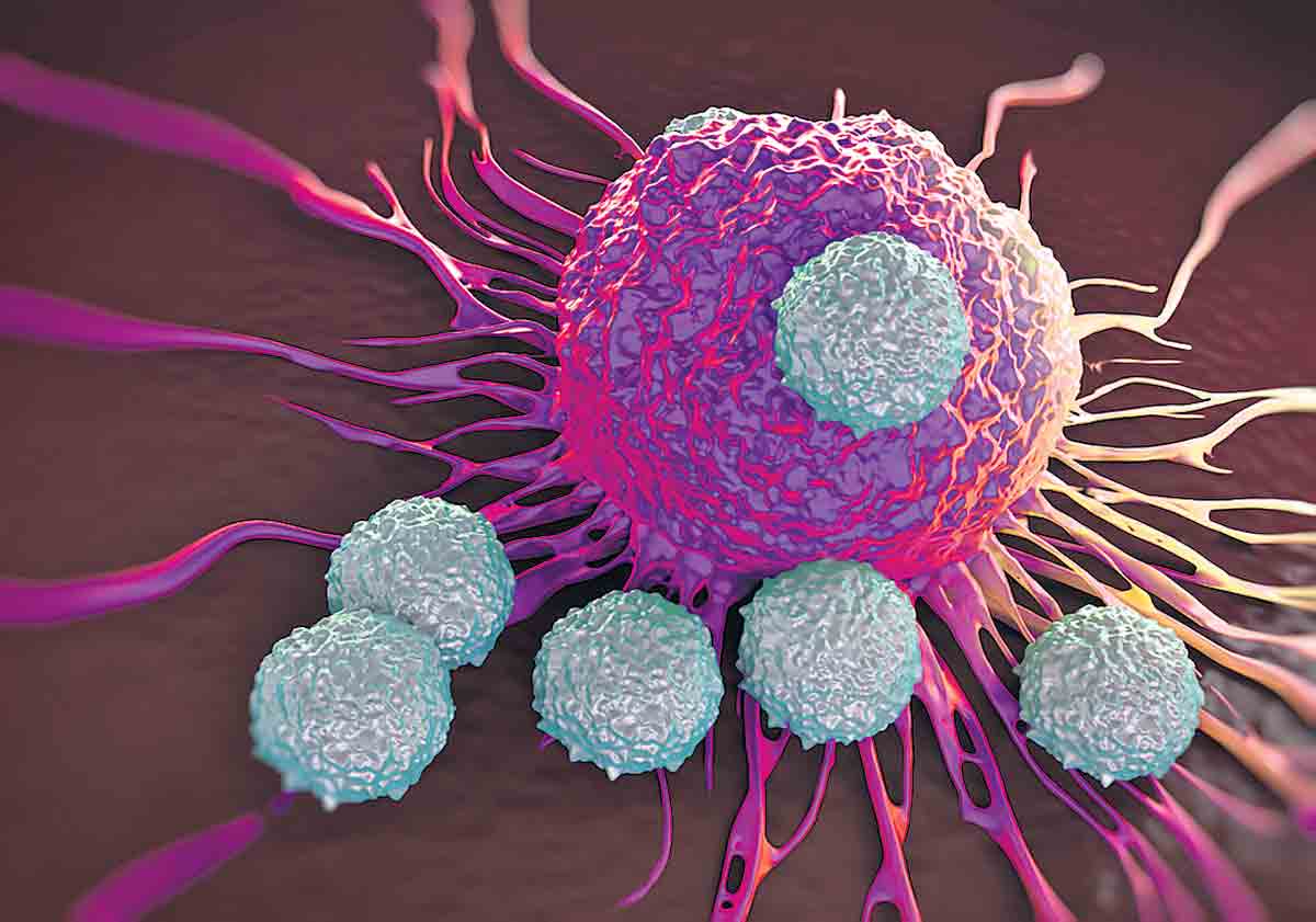 క్యాన్సర్‌తో కణాల కొట్లాట