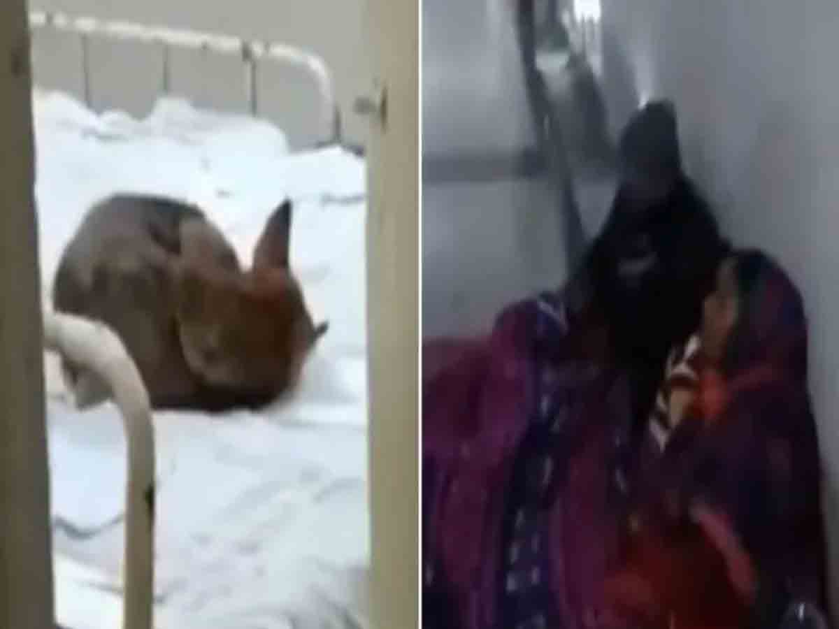 ఆసుపత్రి బెడ్‌పై కుక్క, నేలపై రోగులు.. ఎక్కడంటే?