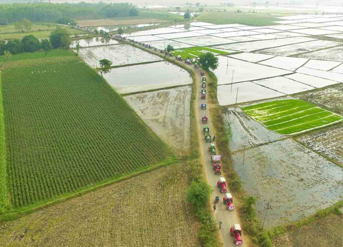 రైతుబంధు సంబురం