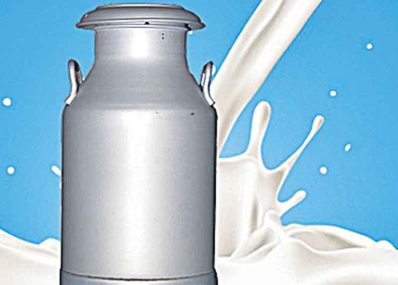 మేడ్చల్‌లో  వంద మినీ డెయిరీలు