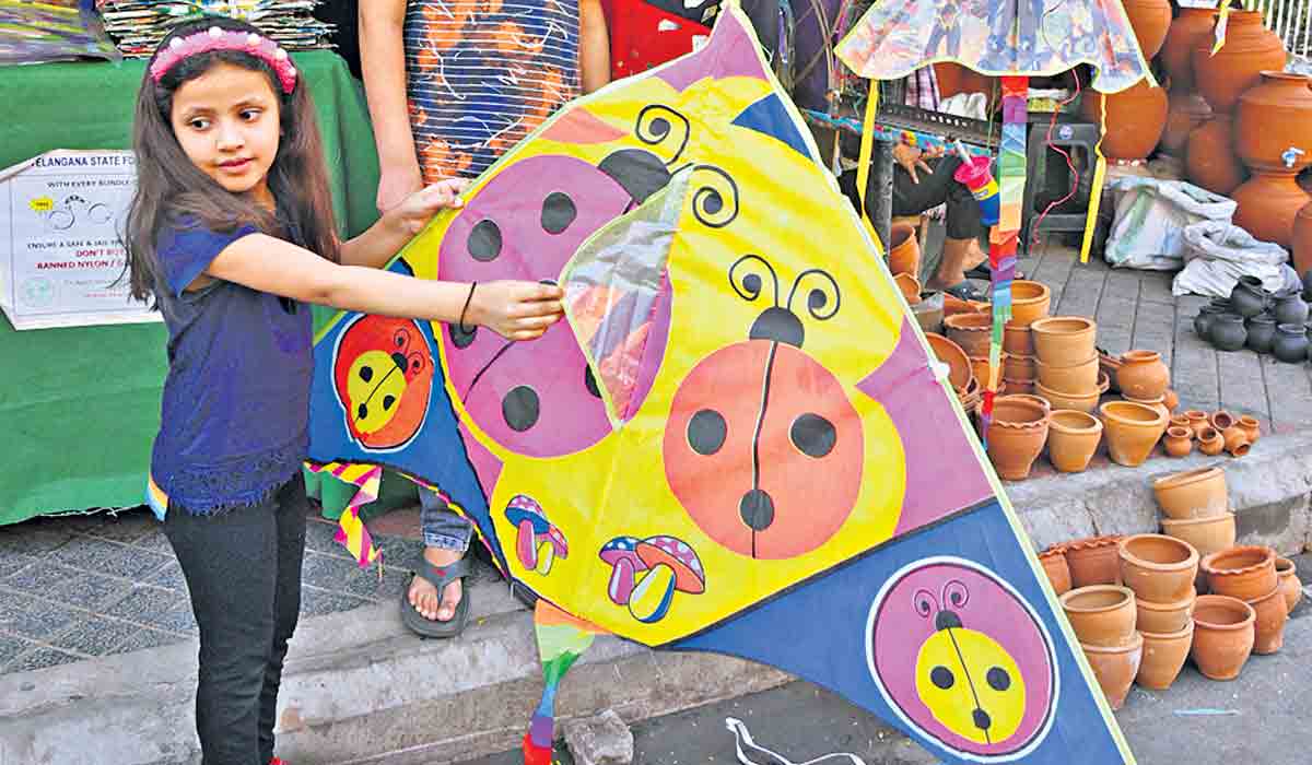 సంక్రాంతి వేళ ప్రత్యేక పదజాలం.. పేంచ్‌.. కీంచ్‌.. కాటే!