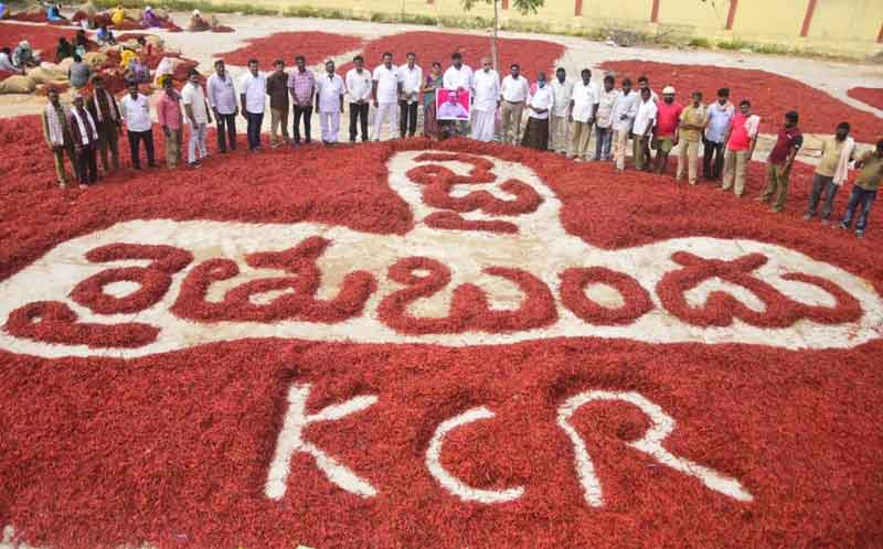 కొనసాగుతున్న రైతుబంధు సంబురాలు