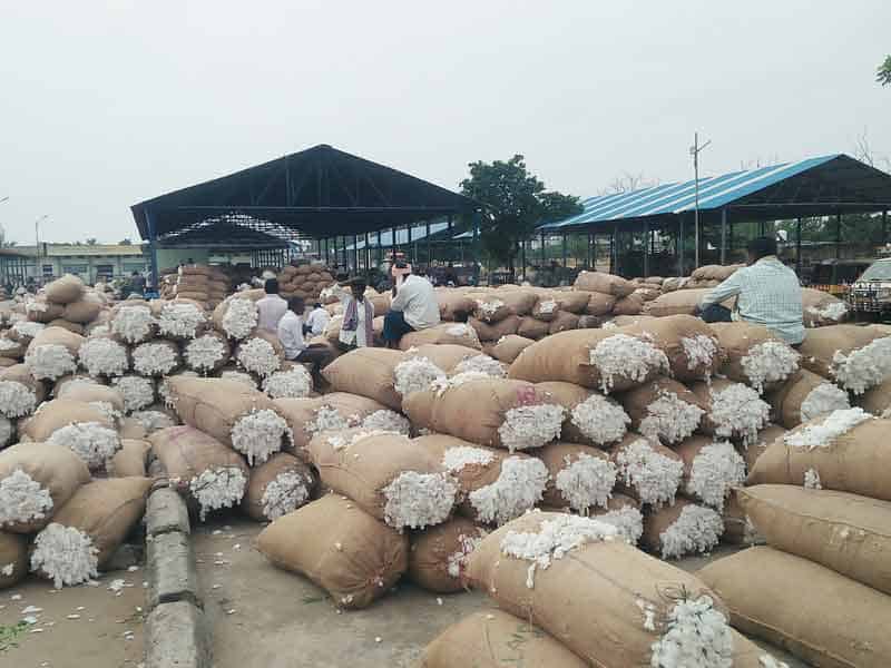 పత్తి @ రూ.9,700