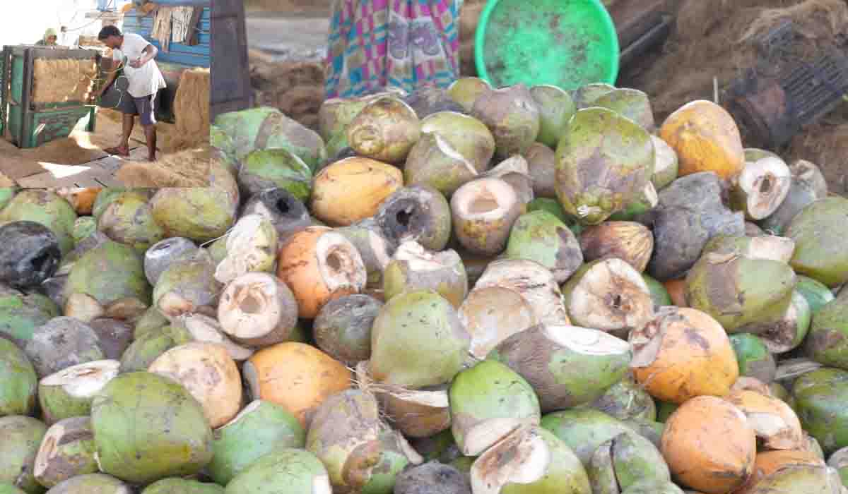 తాగి పడేసిన కొబ్బ‌రిబోండాల‌తో నెల‌కు ల‌క్ష‌లు సంపాదించొచ్చు..అదెలాగంటే..?