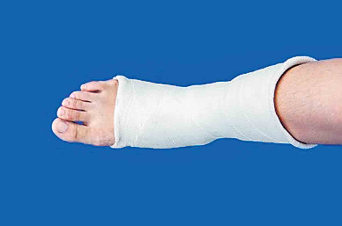 తెగిపోయిన కాలు పెరగొచ్చు!