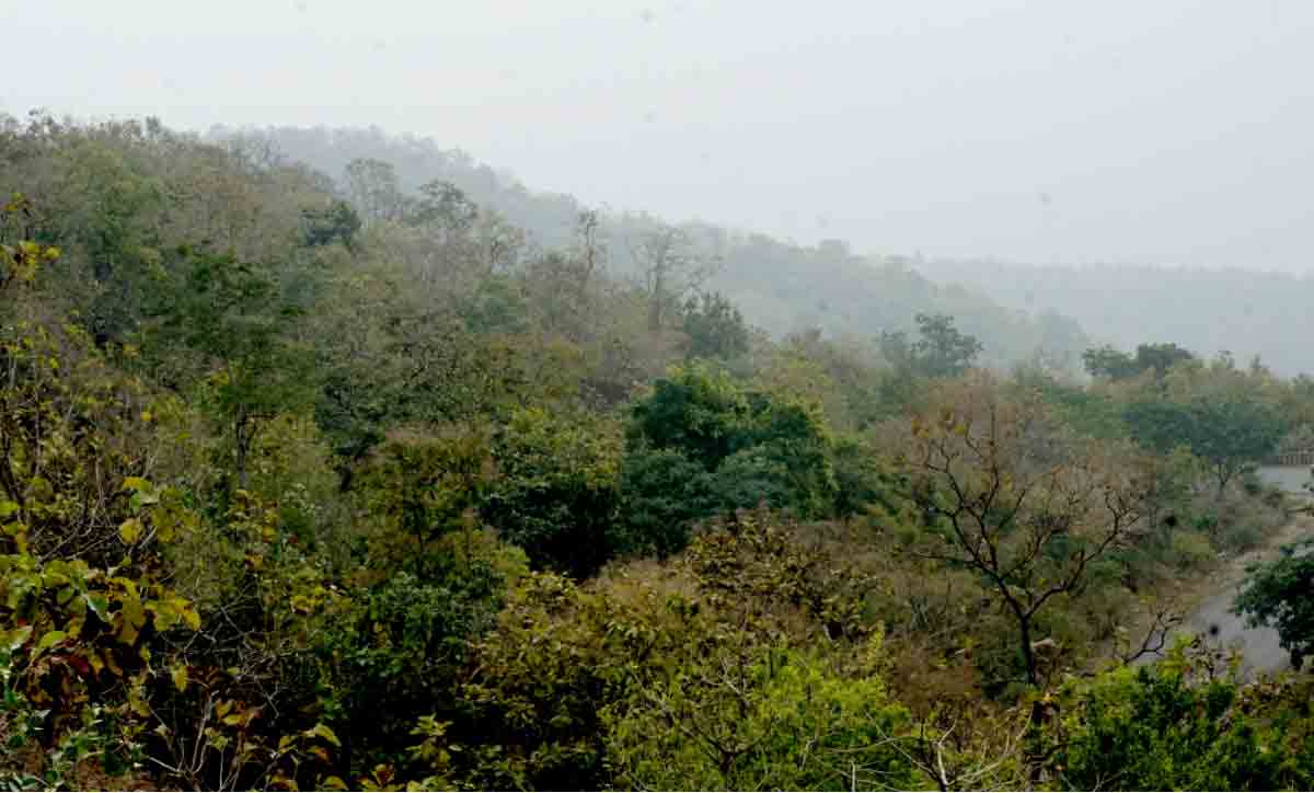 Mahaboob Ghat | కశ్మీర్‌ను తలపిస్తున్న మహబూబ్‌ ఘాట్‌ అందాలు