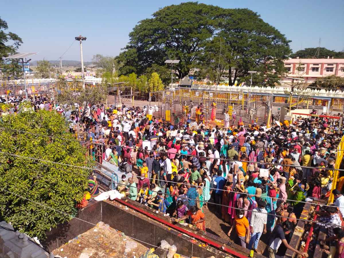 Medaram Jatara | భక్తులతో పులకించిన మేడారం జాతర