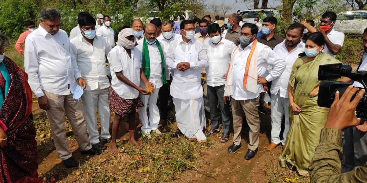 నోటికాడ బుక్క నేల పాలయినట్లయింది : మంత్రి నిరంజన్‌రెడ్డి