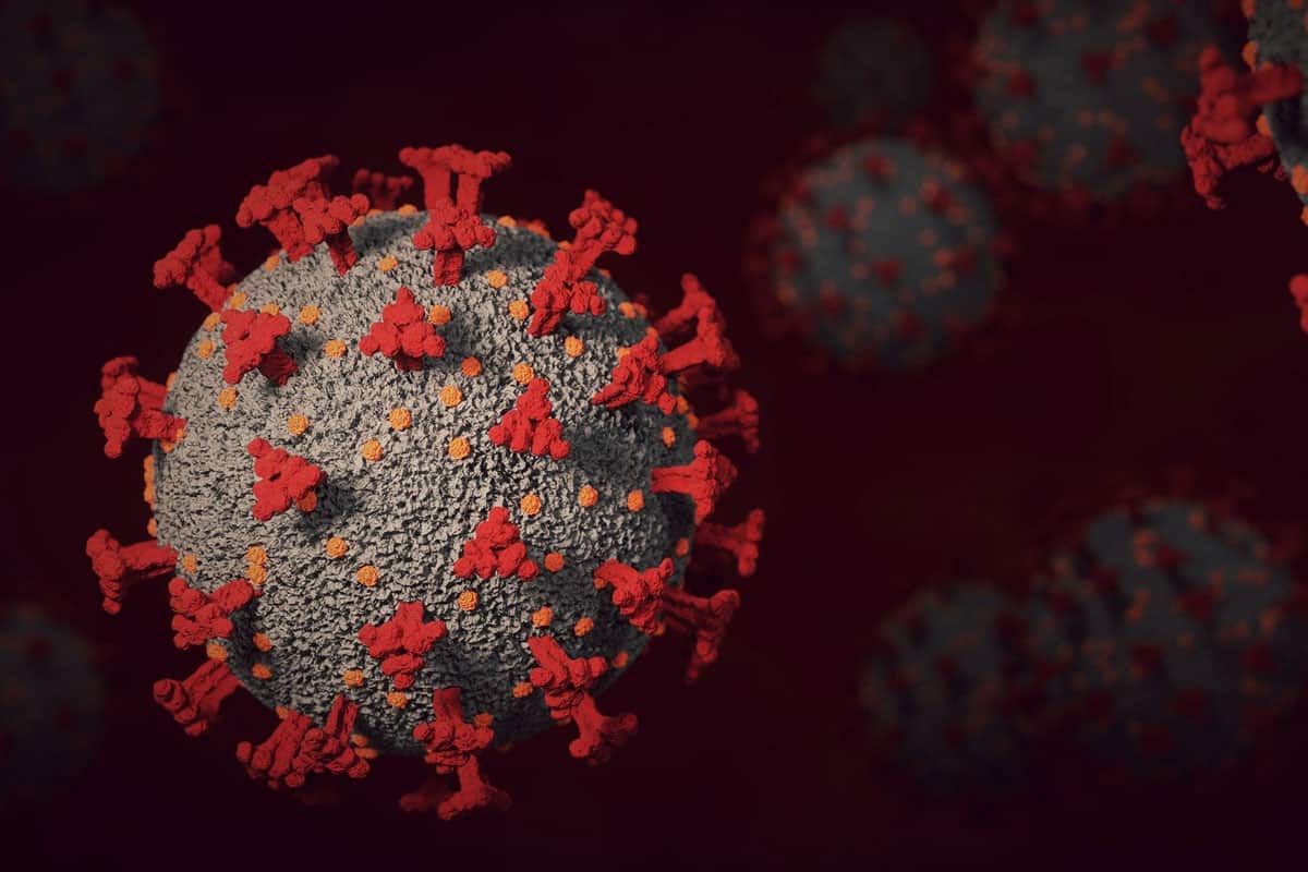 థ‌ర్డ్ వేవ్ వ‌చ్చేసిందా? ఇప్పుడు భార‌త్‌లో ఏం జ‌ర‌గొచ్చు? ద‌క్షిణాఫ్రికా చెప్పిన పాఠం ఇదే..