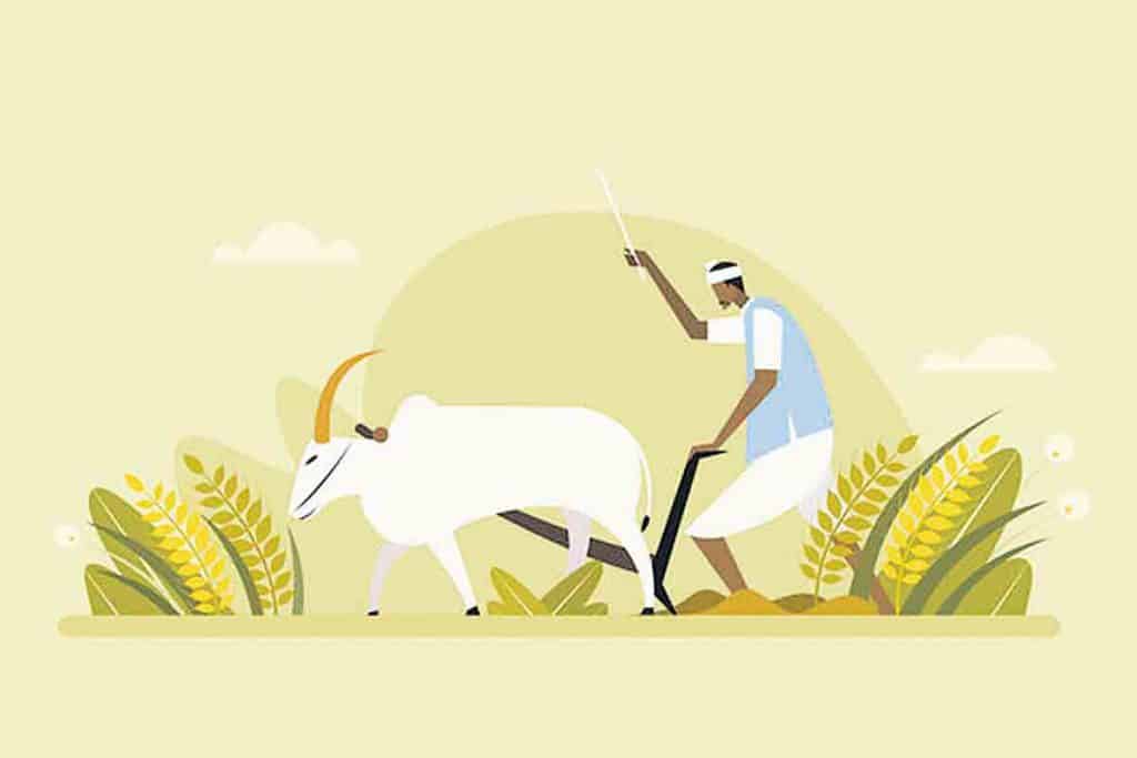 Agriculture | 