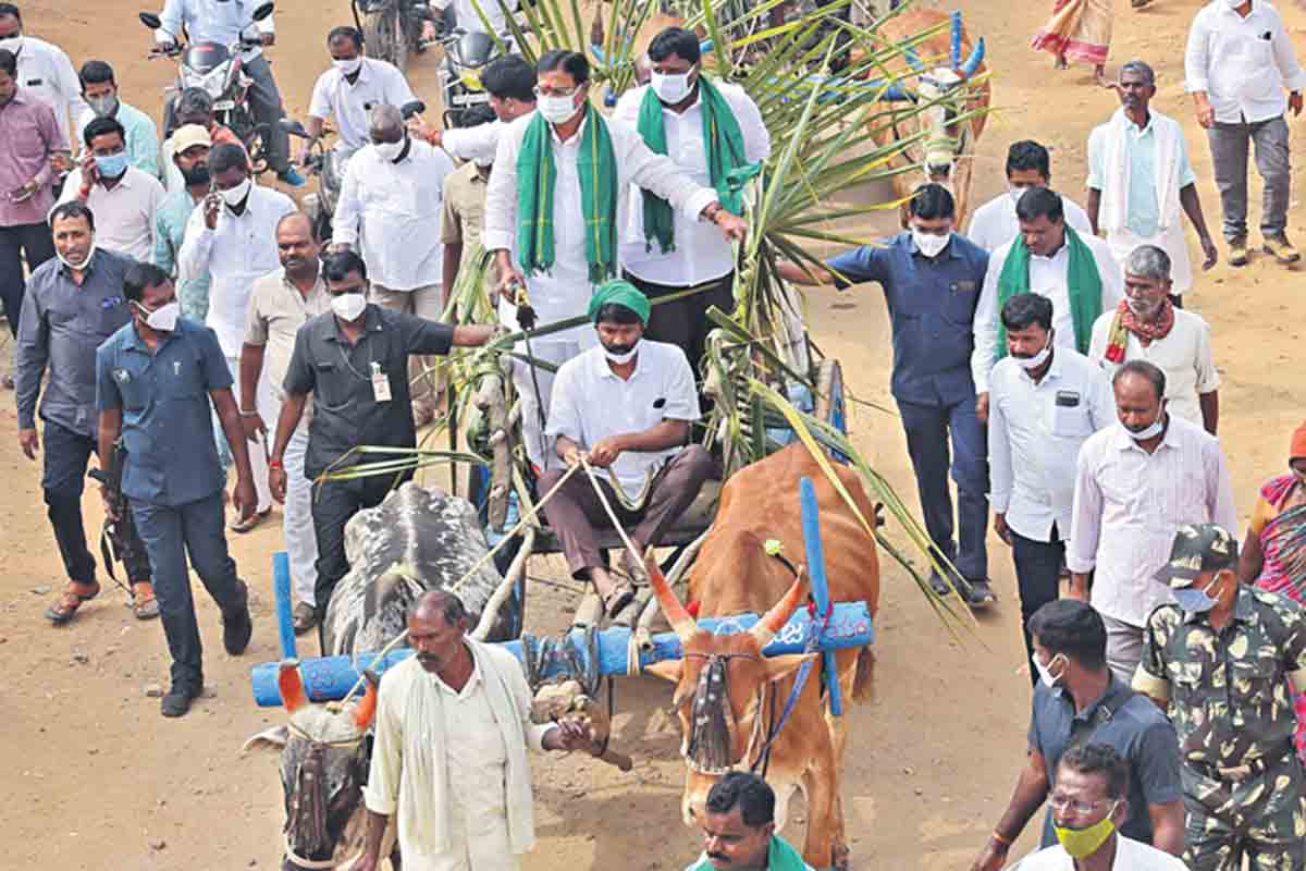 ఎడ్లబండ్ల ర్యాలీలు