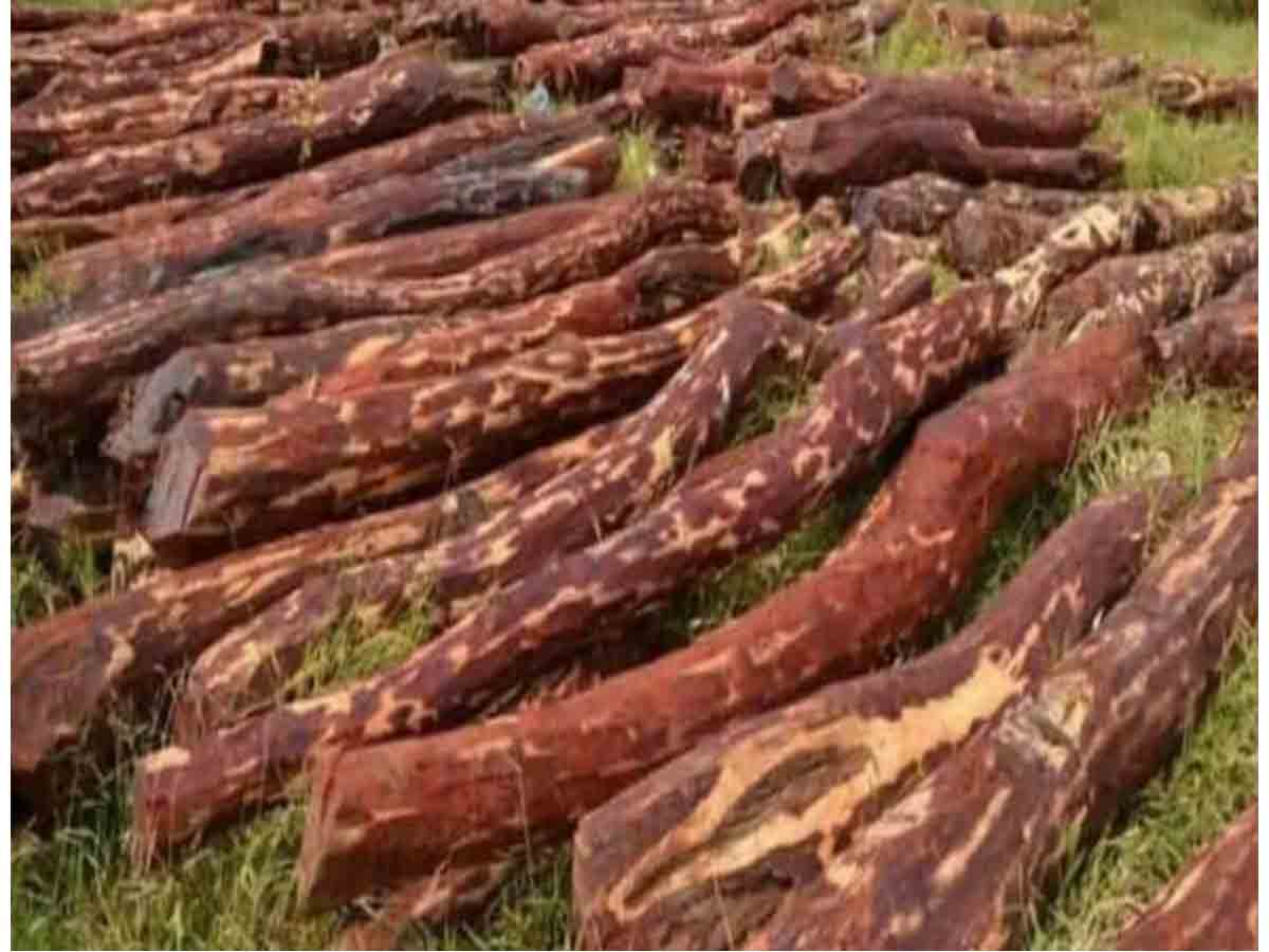 ఏపీ టూ త‌మిళ‌నాడు : రూ 10 కోట్ల విలువైన 20 ట‌న్నుల ఎర్ర‌చంద‌నం సీజ్‌!