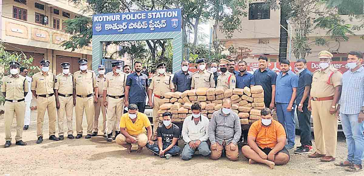 విలువైన గంజాయి పట్టివేత