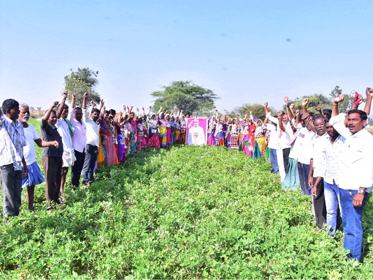 Rythubandhu celebrations | సీఎం కేసీఆర్‌ చిత్రపటాలకు ‘పంటాభిషేకం’