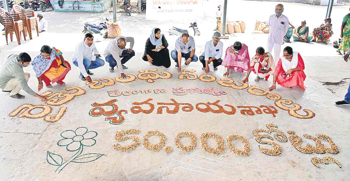 పడావుబడ్డ భూములకు పచ్చ కోక