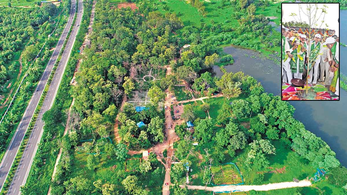 తెలంగాణ పచ్చగా..హరితహారం సూపర్‌ సక్సెస్‌