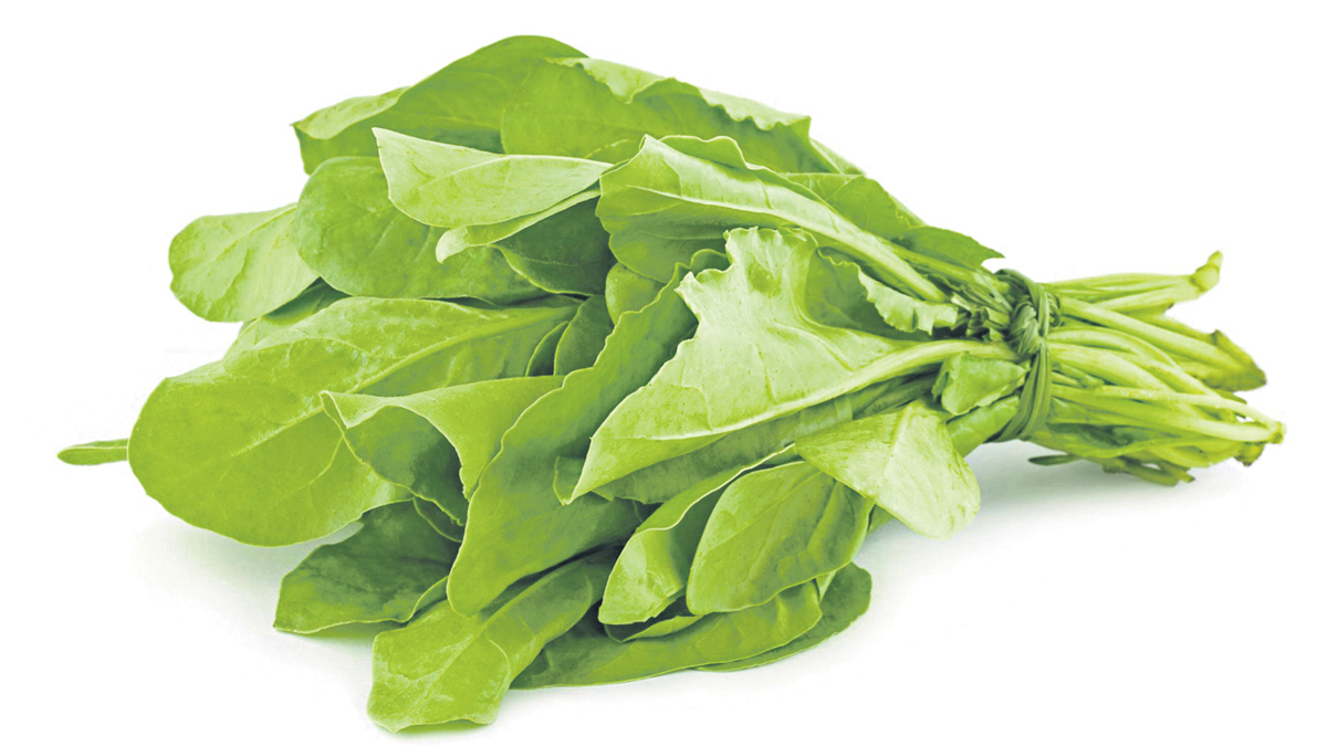 పాలక్‌తో చలి పరార్‌!