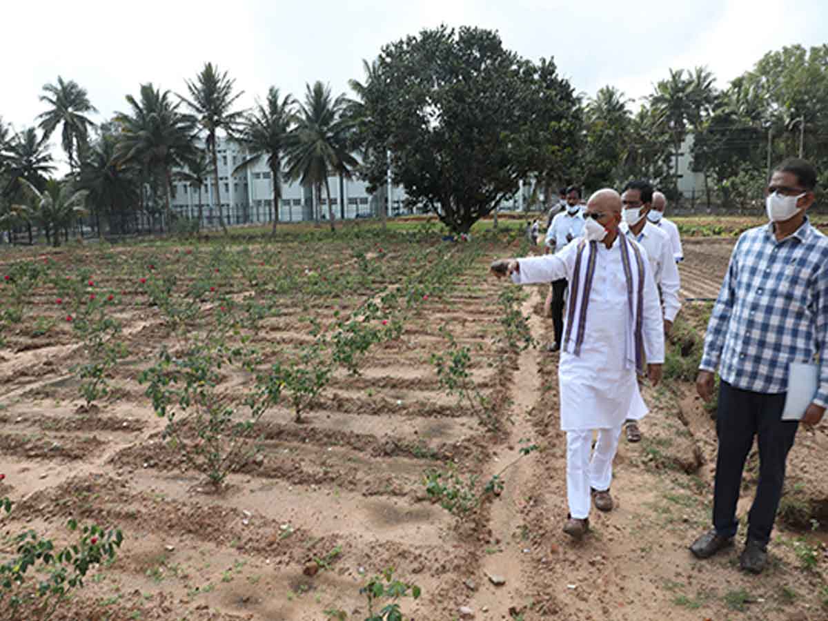 TTD | తిరుమలలోని పూలతోటలను పరిశీలించిన టీటీడీ ఈవో జవహర్ రెడ్డి..