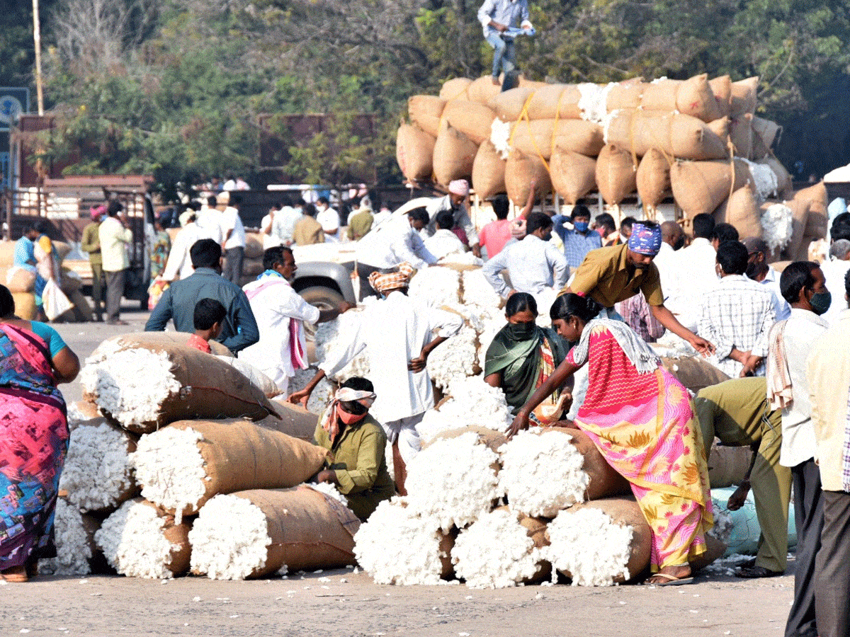 Warangal | పత్తి ధరలు పైపైకి..