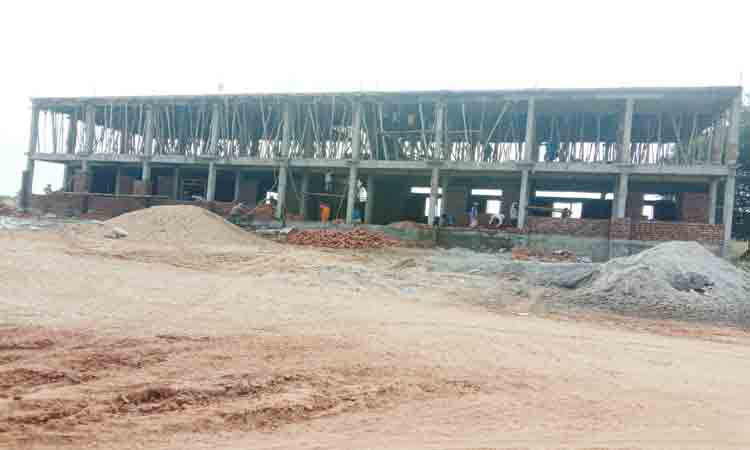 సొంతూరిపై మమకారం